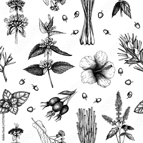 Tea seamless pattern. Herbal tea background. Medicinal herbs sketches. Hand-drawn vector illustration. NOT AI generated