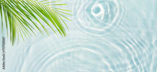 green palm leaf isolated on transparent blue rippled water surface, fresh nature scene background for body care and beauty or summer vacation