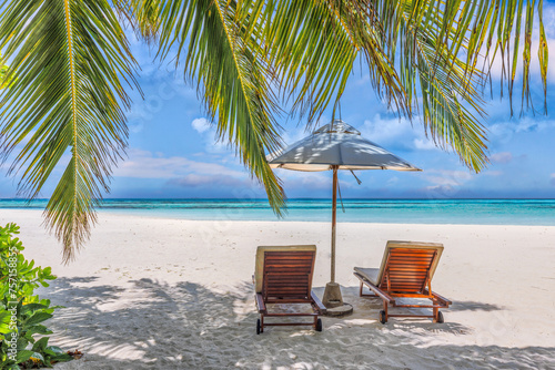 Tropical beach coast as summer landscape. Leisure couple chairs palm trees, calm sea sky. Luxury paradise honeymoon travel landscape, beautiful destination for vacation tourism scene. Love holiday