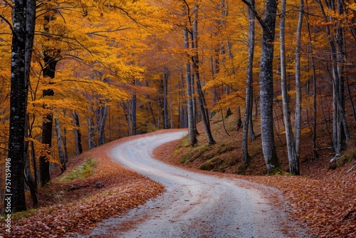 A tranquil, picturesque view of a winding road weaving through a lush forest, providing an inviting pathway for exploration, A curvy path through colourful autumn trees, AI Generated