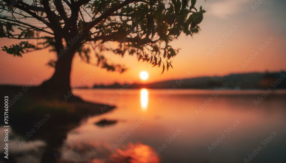 silhouette of tree near body of water during beautiful sunset