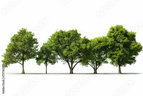 3d illustration of four tree models with multiple branches © Michael Böhm