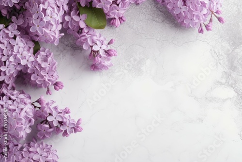 purple lilac flowers on a white concrete background