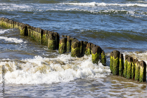 Fototapeta Naklejka Na Ścianę i Meble -  Wooden breakwater with Green algae in foaming water of Baltic Sea, Miedzyzdroje, Wolin Island, Poland