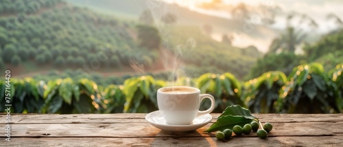 Fresh Coffee Cup on Wooden Table Overlooking Plantation, Morning coffee in a white cup steaming gently on a rustic wooden table with a scenic coffee plantation in the background.