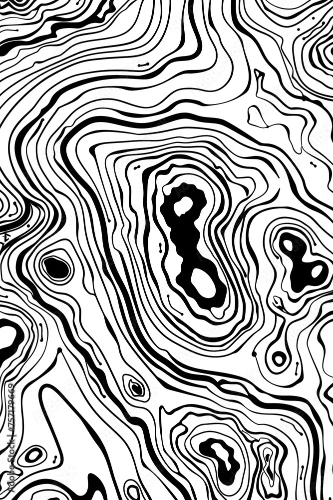 Visually striking black and white abstract piece resembling the fluidity of a topographic map
