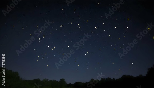 Fireflies Floating Gently Through The Night Sky