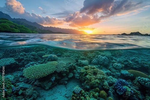 The sun casts a warm glow as it sinks below the horizon, illuminating the rich colors of the teeming coral reef, A peaceful sunrise over a thriving coral reef, AI Generated © Iftikhar alam