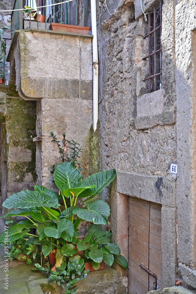 Vitorchiano, strade, vicoli, piazze e case della città medievale - Viterbo, Tuscia Lazio Vitorchiano, strade, vicoli, piazze e case della città medievale - Viterbo, Tuscia Lazio