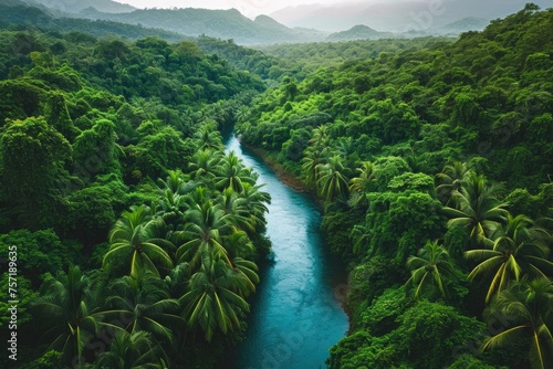 A powerful river meanders through a dense green forest  creating a stunning natural landscape  A river flowing freely through a dense rainforest  AI Generated