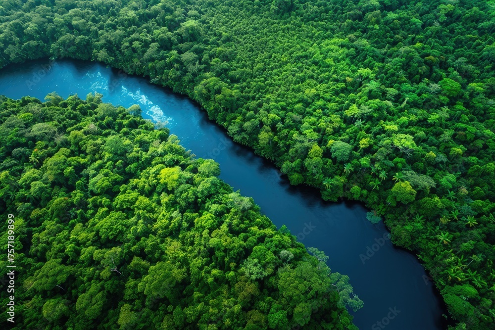 A meandering river winds its way through a dense green forest, creating a stunning natural landscape, A river surrounded by vibrant green rainforest, AI Generated