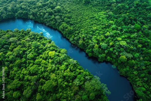 A meandering river winds its way through a dense green forest, creating a stunning natural landscape, A river surrounded by vibrant green rainforest, AI Generated