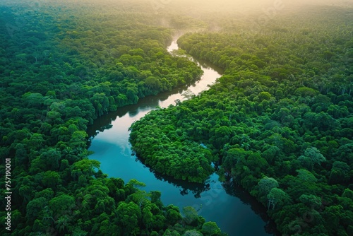 A winding river cuts through a lush and vibrant green forest, showcasing the natural beauty of the landscape, A river that gracefully sections a rainforest, AI Generated