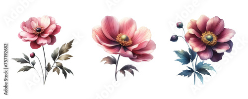 set of watercolor art flowers isolated on transparent PNG background