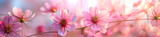 Close up of pink flowers against a blurred background, creating a soft and ethereal atmosphere