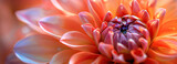 A detailed close-up of a striking orange and pink flower in full bloom, showcasing its intricate petals and vivid colors against a natural floral background