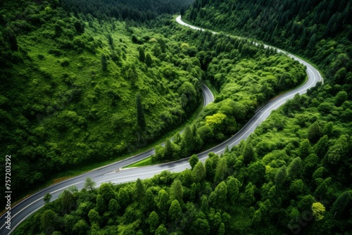 cars driving on a green forest highway