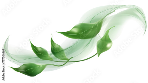 green leaves abstract background design.