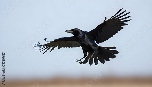 A Crow With Its Wings Outstretched Catching A The