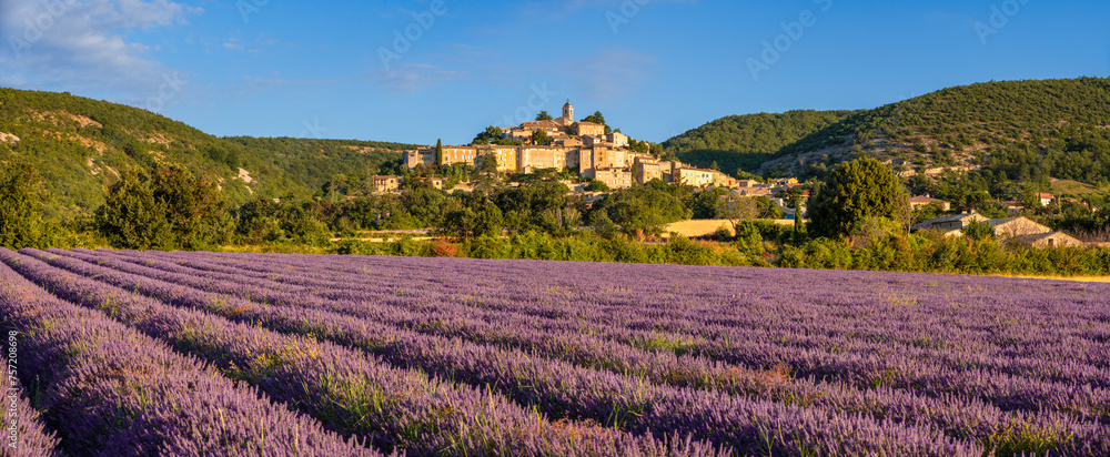 The village of Banon in Provence with lavender fields in summer. Panoramic morning view in Alpes-de-Haute-Provence, French Alps, France