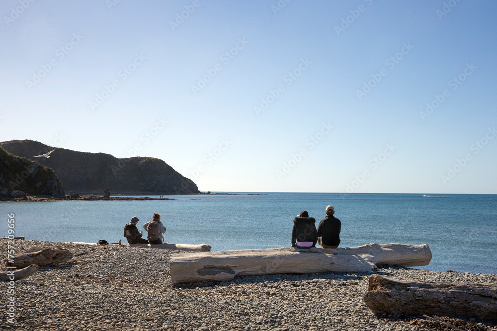 People resting on driftwood and enjoying the view at Makara Beach. Wellington New Zealand. People resting on driftwood and enjoying the view at Makara Beach. Wellington New Zealand.