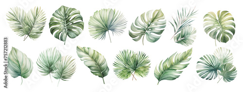 watercolor tropical green leaves set illustration isolated