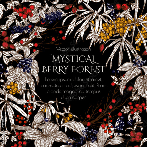 Vector frame of wild berries in engraving style. Cornus sanguinea, sea buckthorn, rose hips, ligustrum, hawthorn, elderberry, paris quadrifolia, lily of the valley berries