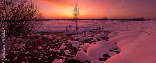 Canvas Print Sunset winter swamp snow tree hummocks
