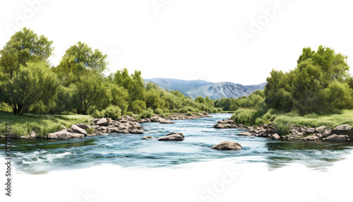 mountain river in the forest isolated on transparent background cutout