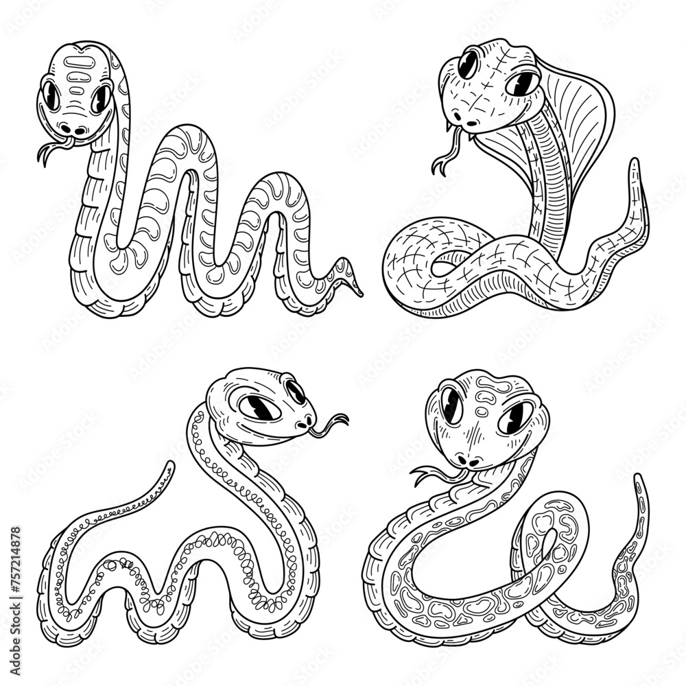 Fototapeta premium Set cute snakes sketch. Hand drawn line art illustration.