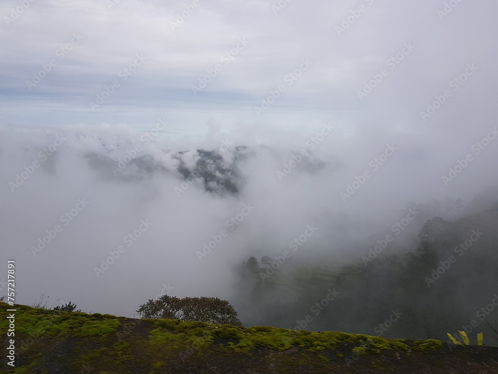 fog in the mountains