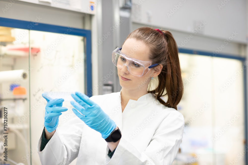 Focused scientist examining a test tube in a laboratory setting. Focused scientist examining a test tube in a laboratory setting.