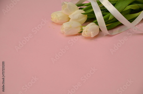 white tulips on pink background gift in a pink box with a pink ribbon. Mothers day  Valentines Day  Birthday celebration concept. Greeting card. Copy space for text  top view