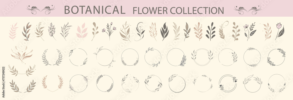 Big set with wreath design elements frames. Vector floral Illustration with branches berries and leaves nature frame 