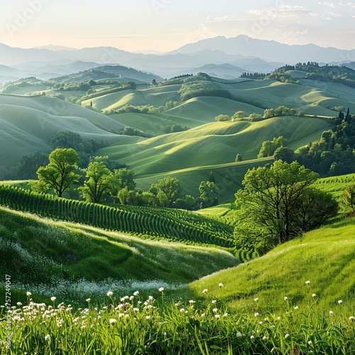 a green rolling hills with trees and flowers