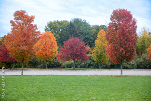 autumn in the park