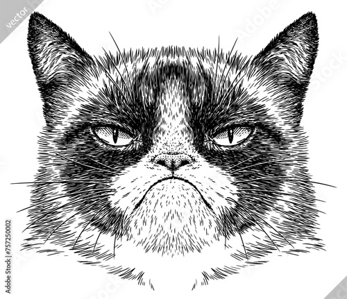 Vintage engraving isolated cat set illustration kitty ink sketch. Pet background kitten silhouette whisker art. Black and white hand drawn vector image
