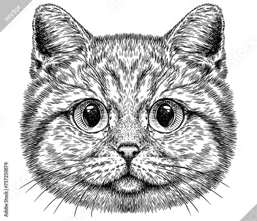 Vintage engraving isolated cat set illustration kitty ink sketch. Pet background kitten silhouette whisker art. Black and white hand drawn vector image