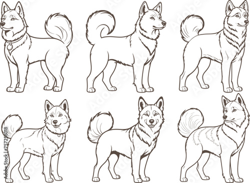 Dog set hand drawn coloring page and outline vector design