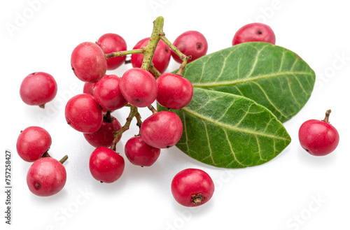 Fresh pink peppercorns on branch with green leaves isolated on white background.