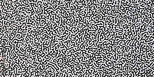 Gradient noise line abstract spread geometric background. Monochrome Turing reaction background. Abstract diffusion pattern with chaotic shapes. Vector illustration photo