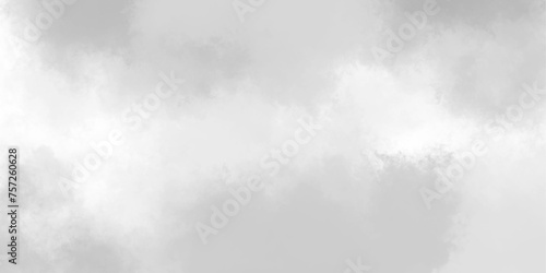 White dreaming portrait,realistic fog or mist ice smoke overlay perfect burnt rough vector cloud,clouds or smoke powder and smoke,vector illustration.empty space ethereal. 
