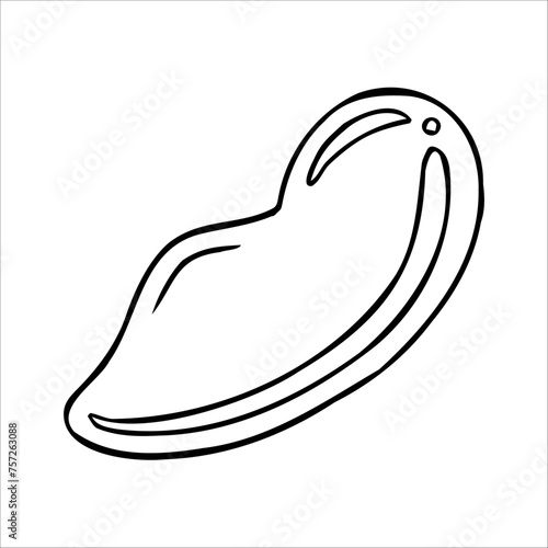 Hand drawn jade gouache massage scraper for face and neck massage. Cosmetic gouache vector drawing, graphic. Natural stone roller, pestle and bowl, mortar. Lifting for healthy and young skin.