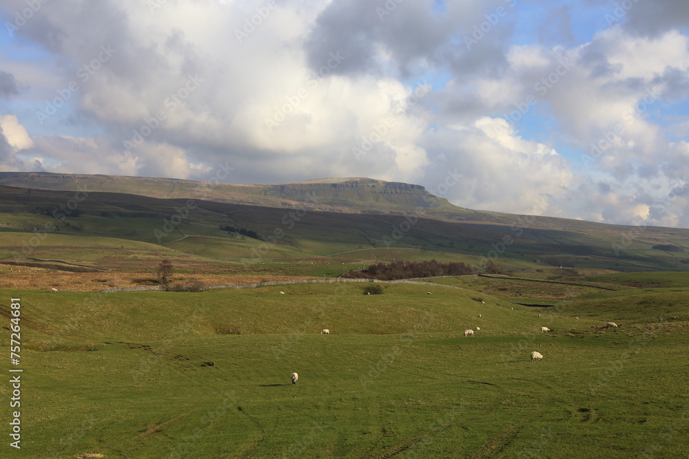 Pen-y-ghent rises above moorland in the Yorkshire Dales National Park.