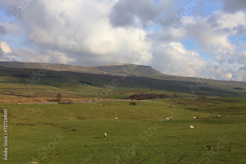 Pen-y-ghent rises above moorland in the Yorkshire Dales National Park.