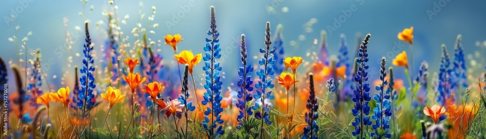 Vibrant fields of larkspur, July's birth flower, symbolizing an open heart and ardent attachment