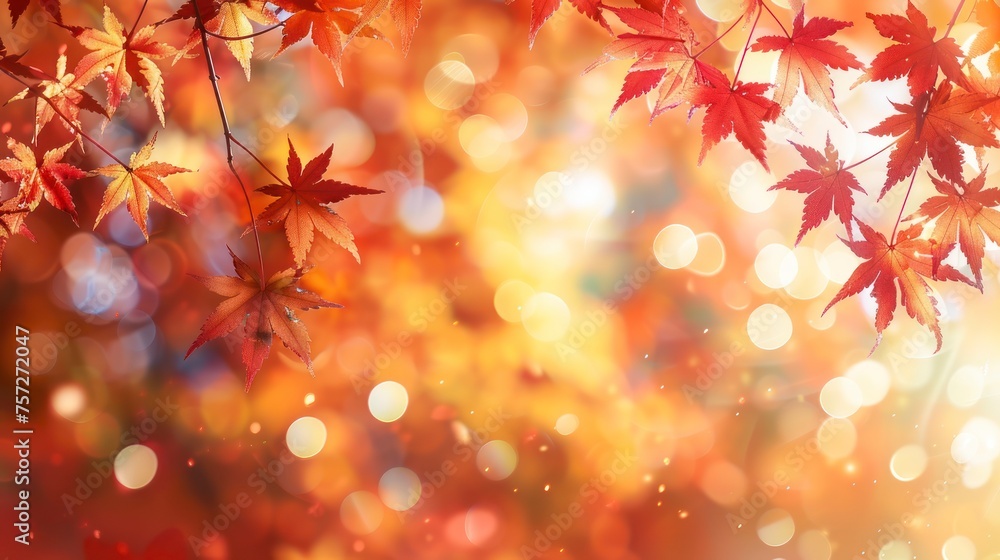 Autumnal Bliss - Capturing the Serene Essence of Red and Yellow Maple Leaves Against a Soft Focus Light and Bokeh Background Autumnal Bliss - Capturing the Serene Essence of Red and Yellow Maple Leaves Against a Soft Focus Light and Bokeh Background