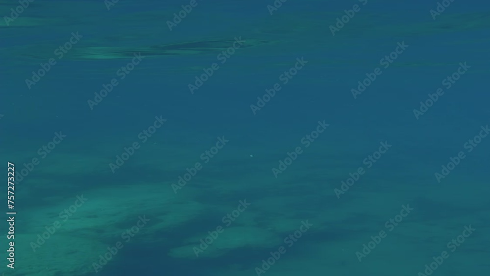 Camera moving forwards diving underwater and rising above its level, moving towards coastal rocky shore Camera moving forwards diving underwater and rising above its level, moving towards coastal rocky shore
