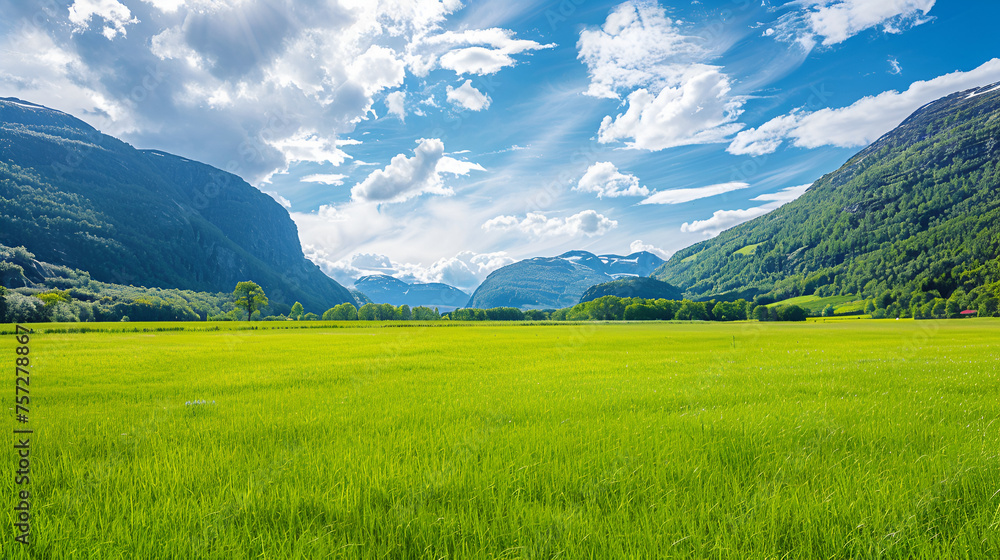 Green Summer Field in Fjordland Norway with Copy Space for Text, Idyllic Scandinavian Landscape, Nature Scenery, Generative AI

