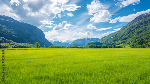 Green Summer Field in Fjordland Norway with Copy Space for Text, Idyllic Scandinavian Landscape, Nature Scenery, Generative AI   © Aleem